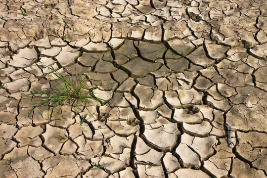 Hiện tượng thời tiết El Nino có thể sẽ quay lại vào tháng 5/2026