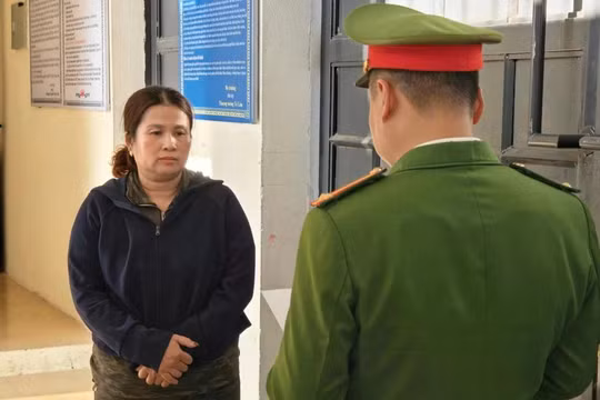 Lừa đảo bằng hình thức góp vốn mua đất, một phụ nữ ở Hà Tĩnh bị khởi tố