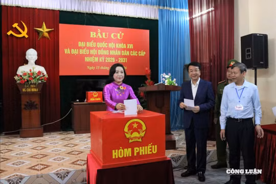Danh sách trúng cử đại biểu HĐND tỉnh Ninh Bình nhiệm kỳ 2026 - 2031