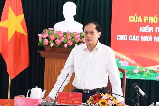 Tháo gỡ điểm nghẽn giải phóng mặt bằng cho hai nhà máy điện hạt nhân ở Khánh Hòa
