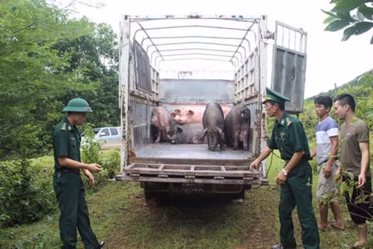 Vận chuyển trái phép hàng hóa, tiền tệ qua biên giới bị phạt đến 75 triệu đồng