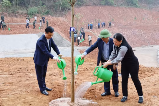 Bắc Ninh: Trồng gần 37 nghìn cây xanh dịp Tết trồng cây Xuân Bính Ngọ 2026
