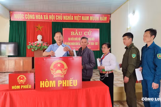 Ninh Bình: 462 khu vực bỏ phiếu đạt 100% cử tri tham gia bầu cử