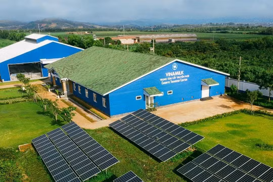 Vinamilk hướng tới net zero bằng năng lượng sạch và chuyển đổi số