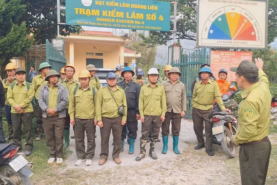 Nguy cơ cháy rừng mùa nắng nóng, Vườn quốc gia Hoàng Liên triển khai nhiều biện pháp ứng phó