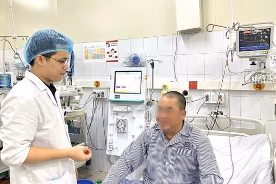 2 người nguy kịch nghi ngộ độc cá nóc ở Quảng Ninh, Bộ Y tế chỉ đạo điều tra khẩn