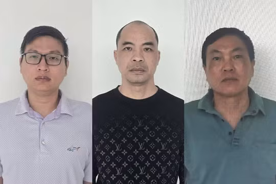 3 giám đốc doanh nghiệp ở Tuyên Quang bị khởi tố tội trốn thuế