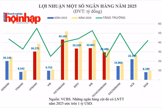 Dự báo năm 2025: Nhiều ngân hàng Việt Nam gia nhập câu lạc bộ lợi nhuận tỷ USD