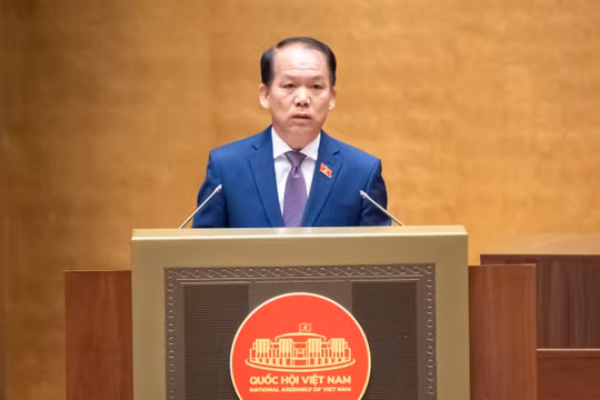 Phát huy vai trò của luật sư công: 'Lá chắn' pháp lý cho khu vực nhà nước
