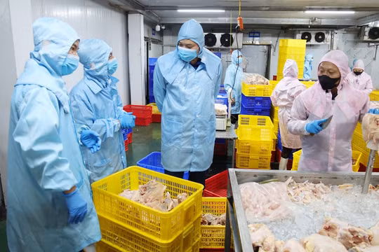 Bắc Ninh: Siết chặt quản lý giết mổ, ngăn chặn nguy cơ thực phẩm bẩn