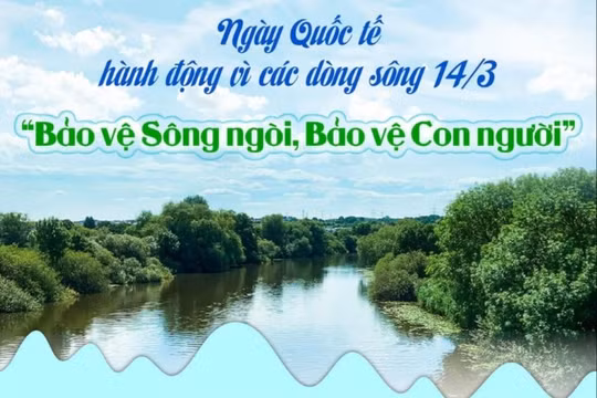 Ngày Quốc tế hành động vì các dòng sông 14/3: Bảo vệ sông ngòi, Bảo vệ con người