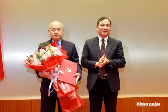 Thứ trưởng Bộ Tài chính làm Phó Bí thư Thành ủy Hải Phòng
