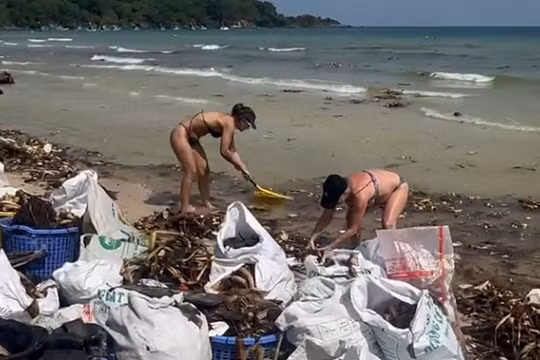 Phú Quốc: Bãi Khem và bãi Sao ngập trong rác và lục bình dịp đầu năm
