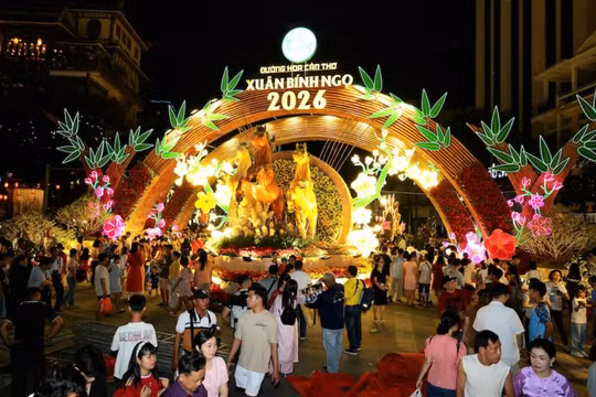 Cần Thơ khai mạc Đường hoa xuân Bính Ngọ 2026