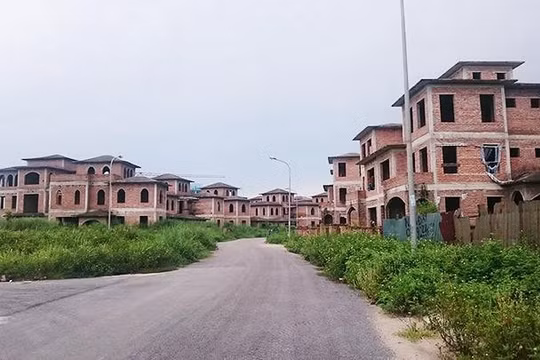 Sửa đổi Luật Đất đai, cương quyết thu hồi đất bỏ hoang, lãng phí