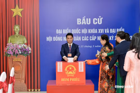 Cử tri Hải Phòng nô nức đi bầu cử