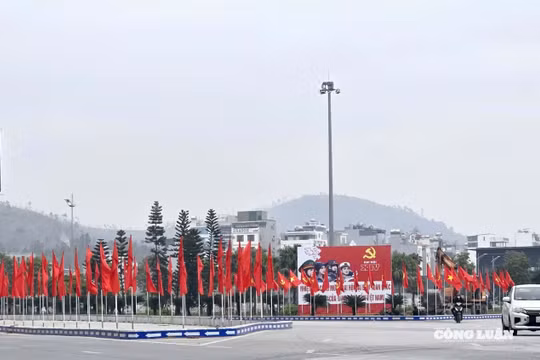 Quảng Ninh rực rỡ sắc xuân, náo nức hướng về Đại hội XIV của Đảng