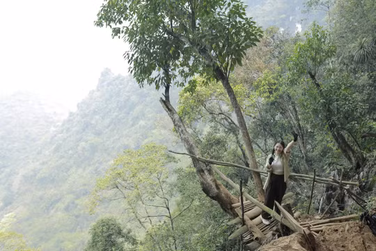 Từ vụ nam sinh mất tích khi leo núi: Kỹ năng ‘bỏ túi’ khi bị lạc trong rừng