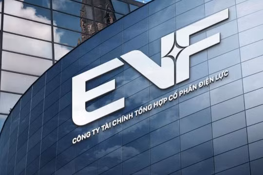 EVF công bố tân Tổng Giám đốc – dấu ấn lãnh đạo cho hành trình bứt phá mới