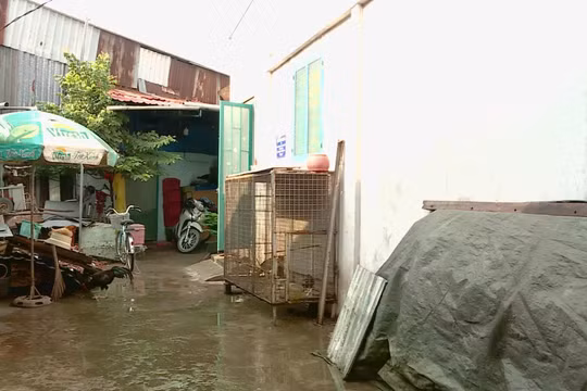 Nhà xuống cấp trong khu quy hoạch: Người dân có thể xin phép xây dựng có thời hạn?