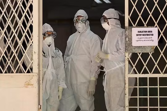 Bộ Y tế ban hành hướng dẫn chẩn đoán, điều trị bệnh do virus Nipah