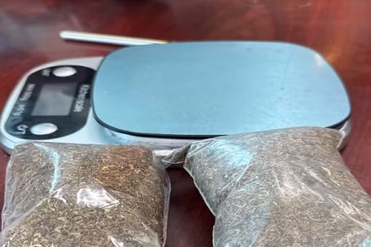 Hưng Yên: Khởi tố 2 đối tượng mua bán ma túy “Tobaco”
