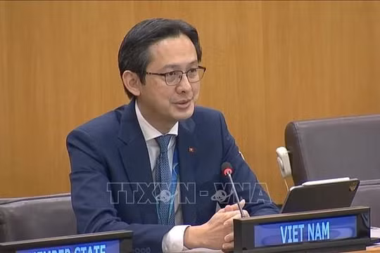 Việt Nam chủ trì Hội nghị NPT giữa bối cảnh an ninh toàn cầu căng thẳng