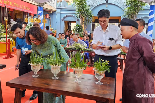 Hải Phòng: Độc đáo hội thi Hoa Thủy tiên
