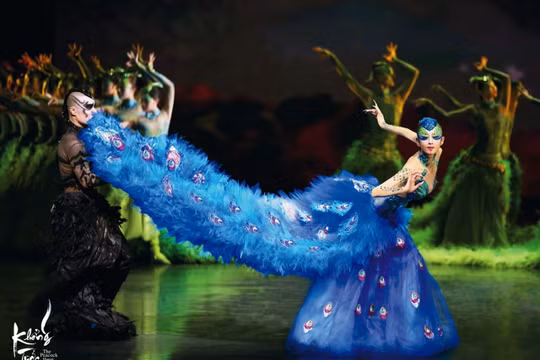 Nghệ sĩ Dương Lệ Bình mang điệu múa ‘Khổng tước’ đến Việt Nam