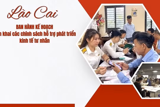 Lào Cai triển khai nhiều chính sách hỗ trợ phát triển kinh tế tư nhân