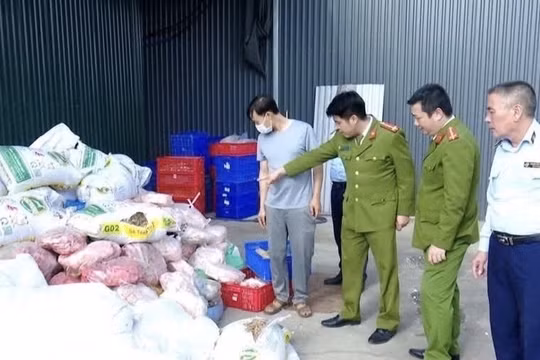 Ninh Bình: Tăng cường kiểm tra, xử lý vi phạm về an toàn thực phẩm