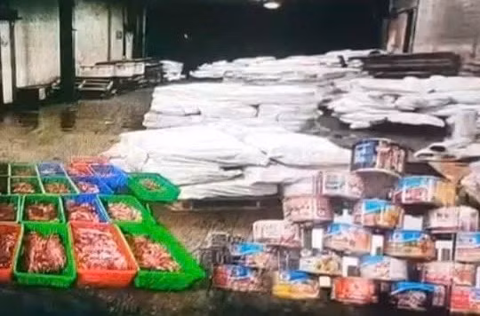 Khởi tố 9 bị can vụ tuồn hơn 120 tấn thịt lợn nhiễm bệnh vào Công ty đồ hộp Hạ Long ở Hải Phòng