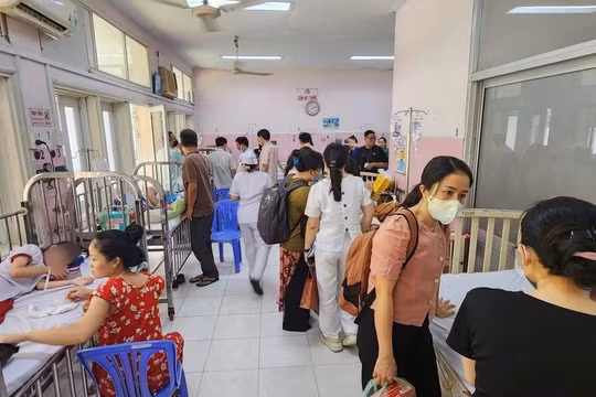 Số học sinh ngộ độc tại TP HCM tăng lên 184, xác định có vi khuẩn Salmonella