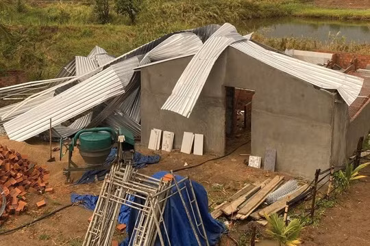 Gia Lai: Mưa lớn kèm lốc xoáy khiến 10 căn nhà bị tốc mái, nhiều cây xanh gãy đổ