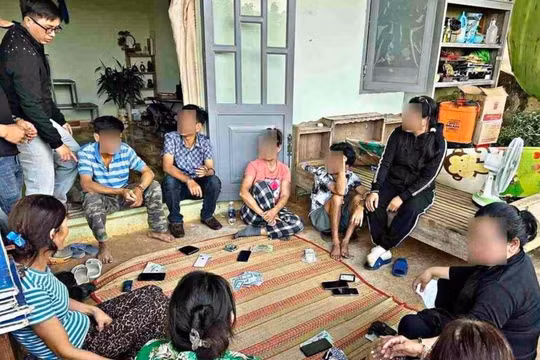 Công an mật phục, bắt quả tang 9 con bạc 'sát phạt' trong vườn sầu riêng