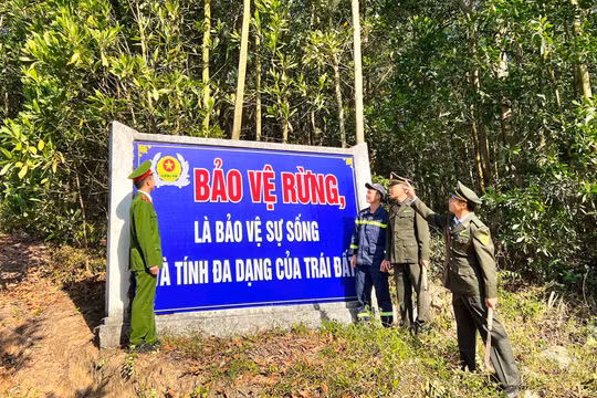Tăng mức kinh phí bảo vệ rừng đặc dụng