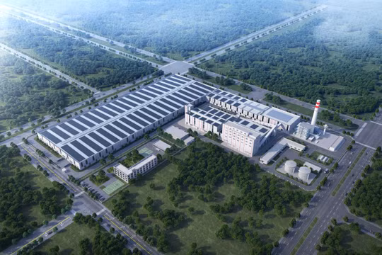 Đạt Phương 2026: "Cất cánh" cùng hệ sinh thái đa ngành và tham vọng dẫn dắt mảng Kính hoa siêu trắng