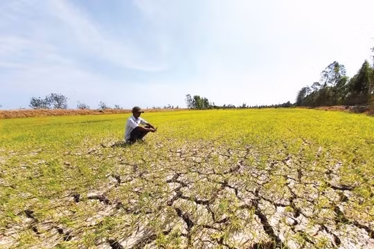 Tuyệt đối không để hạn hán, xâm nhập mặn, cháy rừng làm ảnh hưởng đến sản xuất, kinh doanh