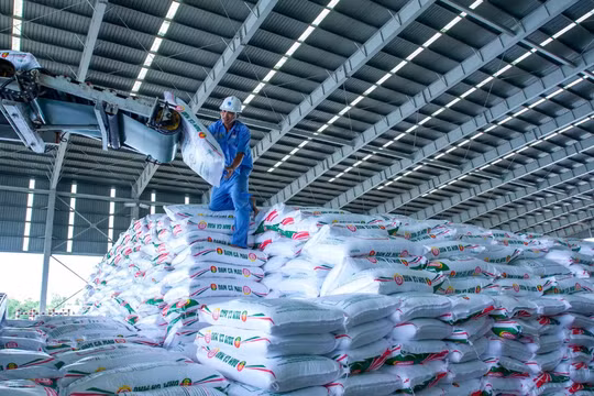 Cà Mau đạt kết quả tích cực trong thực hành tiết kiệm năng lượng