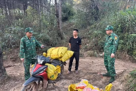 Bắt giữ đối tượng vận chuyển 265kg xúc xích không rõ nguồn gốc qua biên giới Lạng Sơn