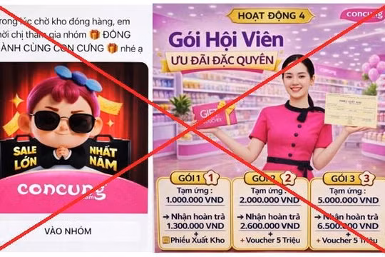 Người phụ nữ mất gần 1 tỷ đồng khi tham gia nhóm giả mạo “Đồng hành cùng Con Cưng”