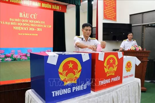 Bầu cử Đại biểu Quốc hội và HĐND: Cử tri hân hoan đi bỏ phiếu sớm trên biển