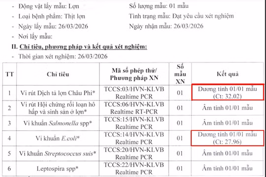 Đình chỉ hiệu trưởng mầm non ở Thái Nguyên 'cố tình' đưa thịt nhiễm dịch tả lợn châu Phi vào bữa ăn bán trú