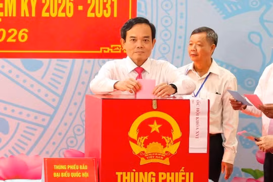 TP Hồ Chí Minh: Cử tri đi bầu đạt 99,06%, bầu đủ đại biểu Quốc hội và HĐND