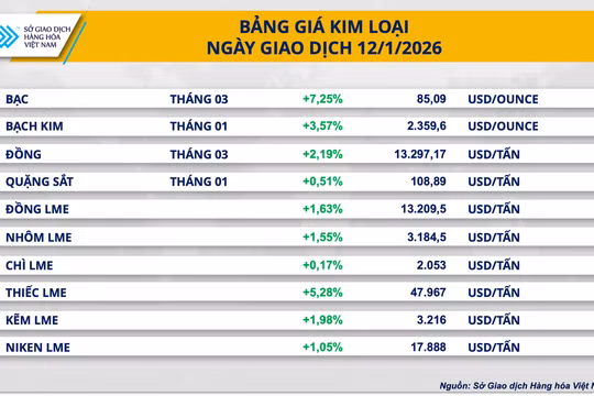 Giá bạc lập kỷ lục 85,09 USD/ounce, giá ngô thế giới chạm đáy thấp nhất 3 tháng