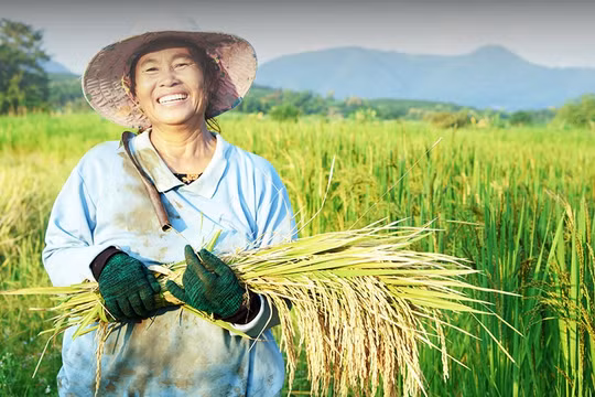 Agribank - Dòng vốn chủ lực đồng hành cùng nông nghiệp Việt Nam bước vào giai đoạn phát triển mới