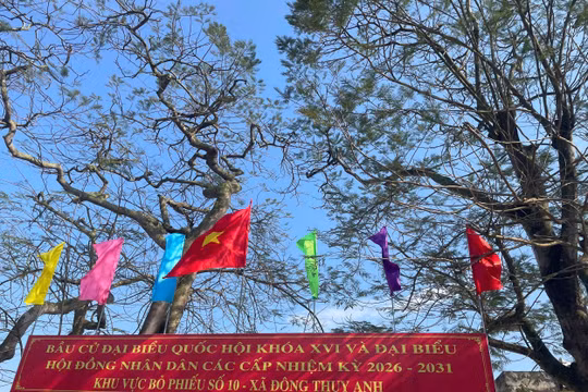 Đông Thụy Anh: Sẵn sàng cho ngày hội toàn dân
