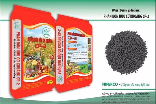 Phân lân Ninh Bình giữ đà tăng trưởng giữa biến động thị trường