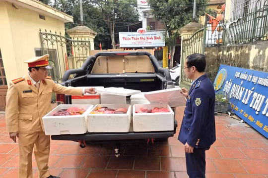 Ninh Bình: Phát hiện xe ô tô chở gần 100 kg nội tạng lợn không rõ nguồn gốc đang trên đường đi tiêu thụ