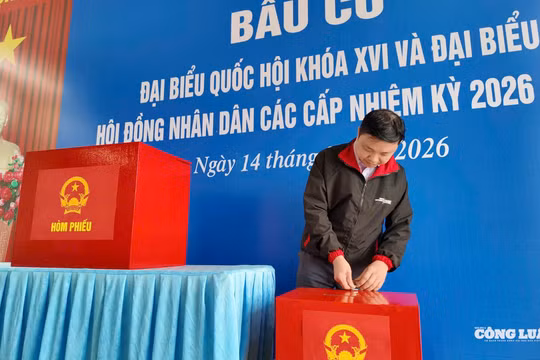 Đặc khu Bạch Long Vĩ nơi bầu cử sớm nhất Hải Phòng